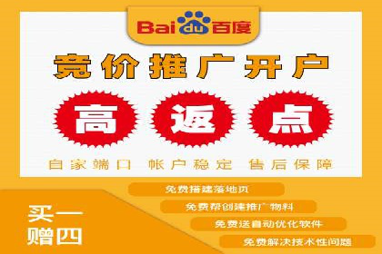 百度竞价广告投放策略案例