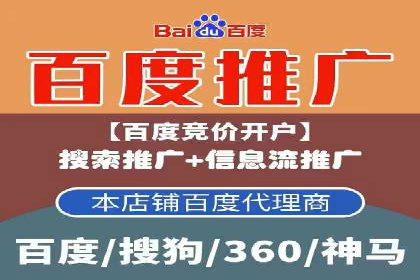 百度推广的成功案例：从零到一的突破